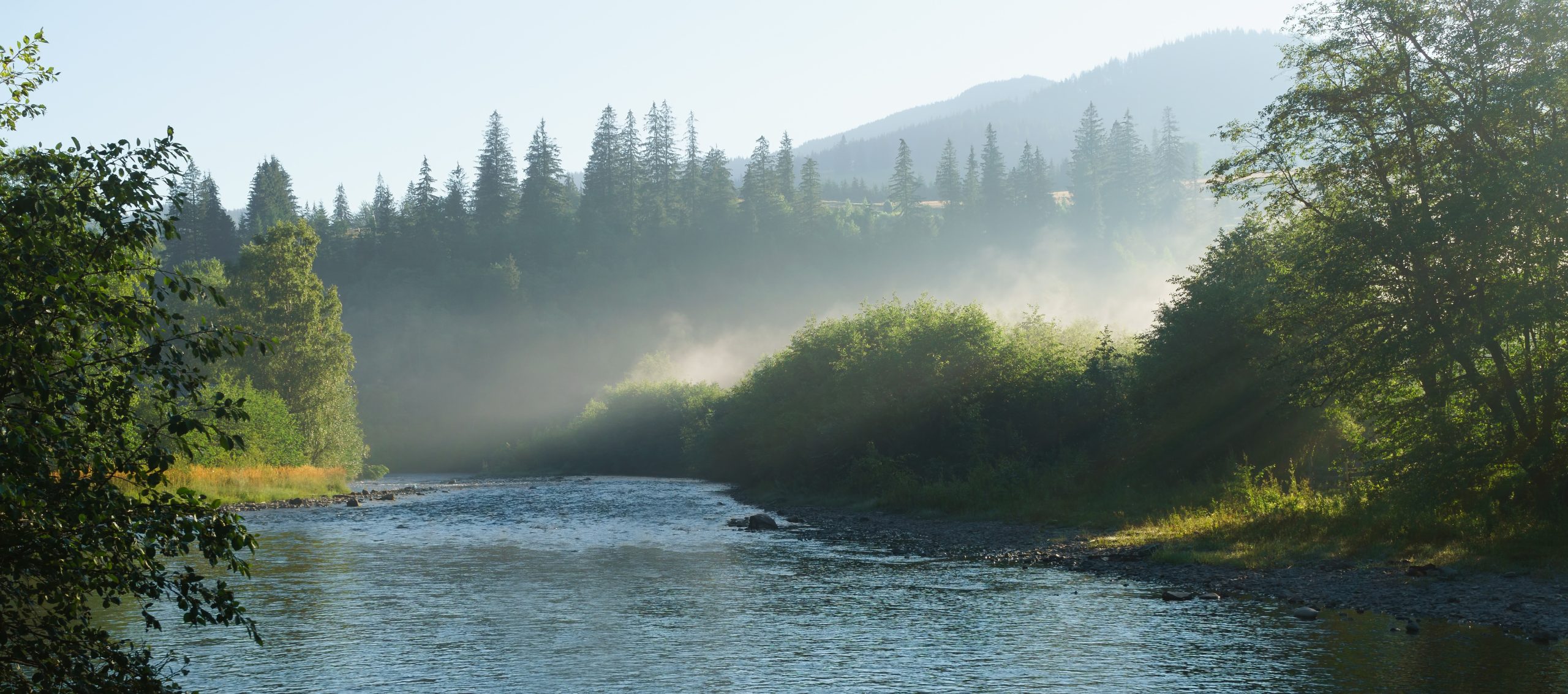 Financing Water Resilience: From Vision to Investment