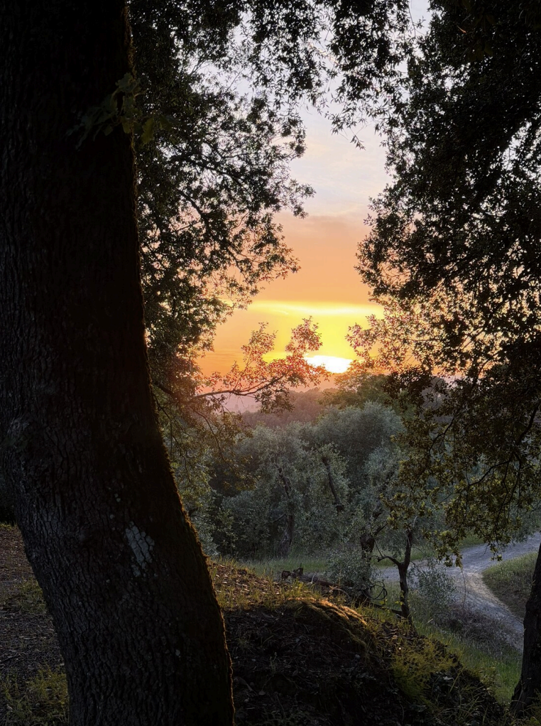 A sunset at Villa Lena.