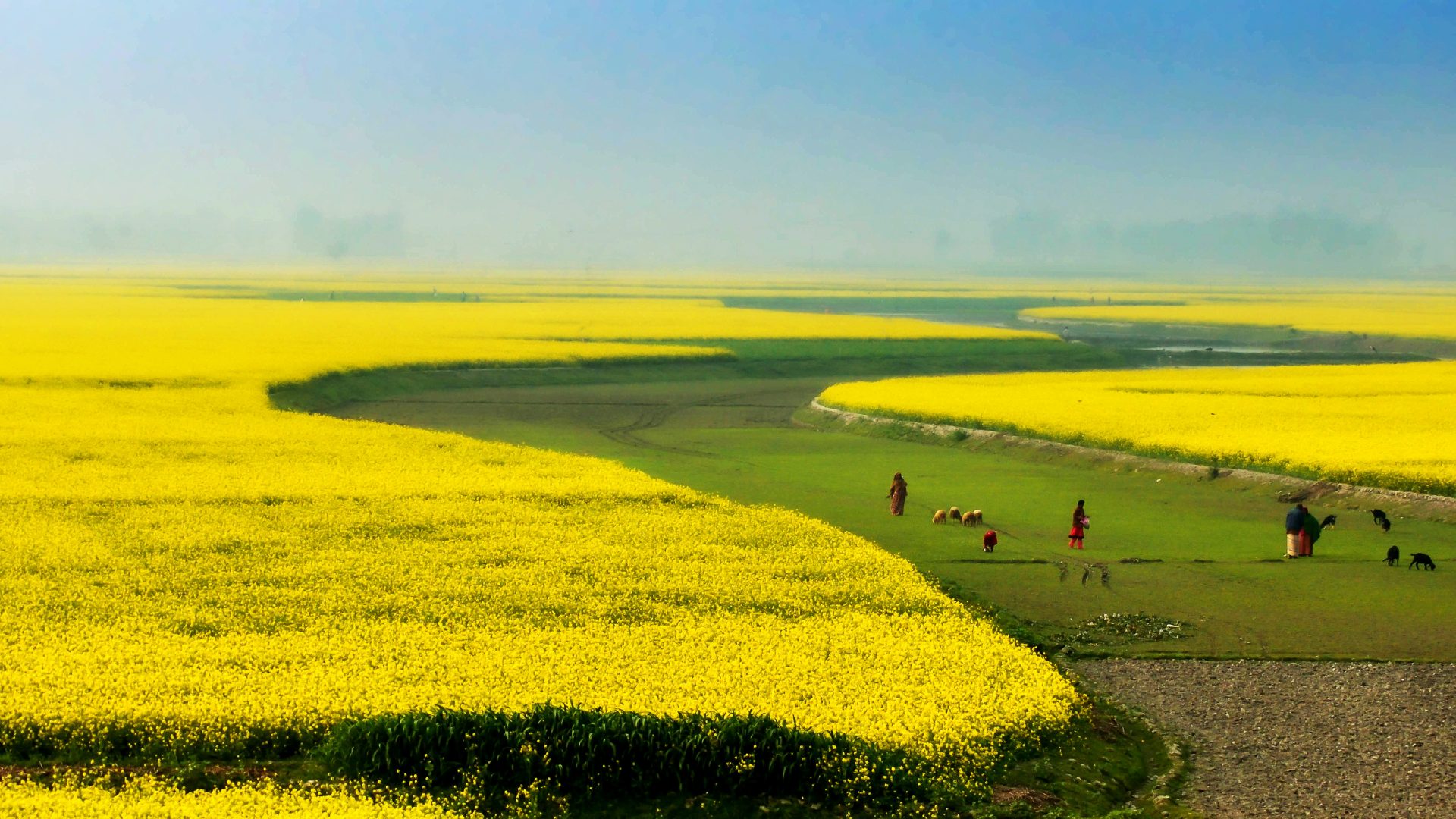 Leveraging Climate Finance for Smallholders’ Adaptation to Climate Change