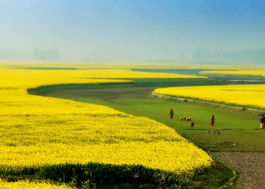 Leveraging Climate Finance for Smallholders’ Adaptation to Climate Change
